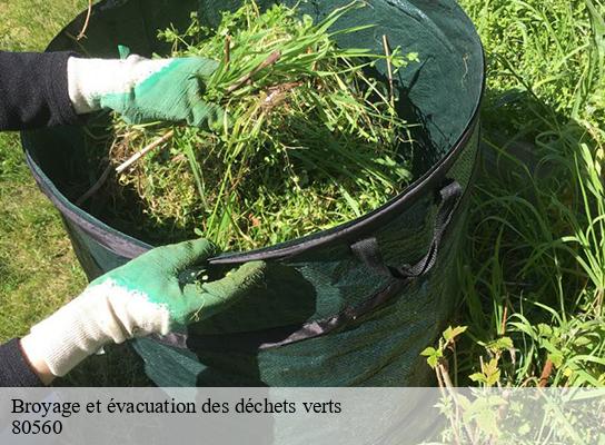 Broyage et évacuation des déchets verts   varennes-80560 LTC Elagage - Abattage 