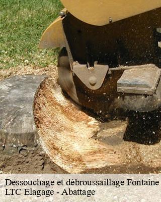 Dessouchage et débroussaillage fontaine-les-cappy-80340 LTC Elagage - Abattage