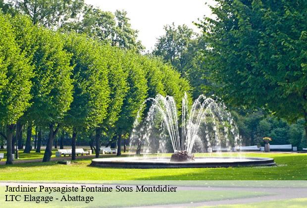 Jardinier Paysagiste fontaine-sous-montdidier-80500 LTC Elagage - Abattage