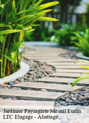 Jardinier Paysagiste mesnil-eudin-80140 LTC Elagage - Abattage