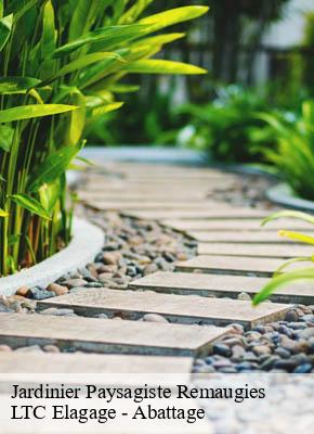 Jardinier Paysagiste remaugies-80500 LTC Elagage - Abattage