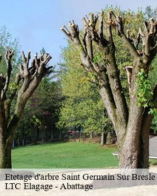 Etetage d'arbre saint-germain-sur-bresle-80430 LTC Elagage - Abattage