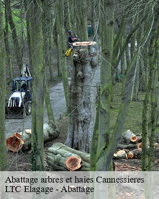 Abattage arbres et haies cannessieres-80140 LTC Elagage - Abattage