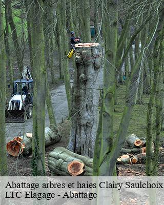 Abattage arbres et haies  clairy-saulchoix-80540 LTC Elagage - Abattage 