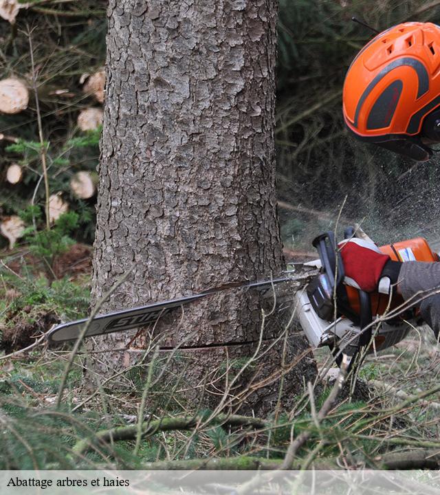 Abattage arbres et haies contre-80160 LTC Elagage - Abattage