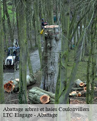 Abattage arbres et haies  coulonvillers-80135 LTC Elagage - Abattage 