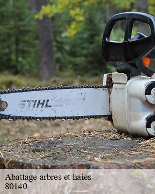 Abattage arbres et haies fresneville-80140 LTC Elagage - Abattage