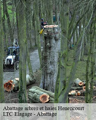 Abattage arbres et haies  henencourt-80300 LTC Elagage - Abattage 