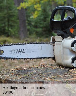 Abattage arbres et haies hombleux-80400 LTC Elagage - Abattage