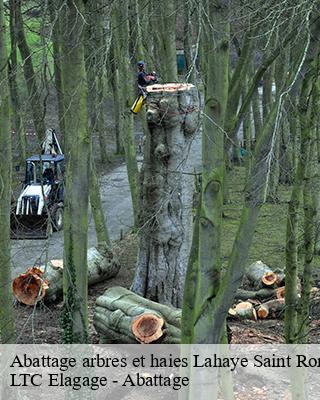 Abattage arbres et haies lahaye-saint-romain-80290 LTC Elagage - Abattage
