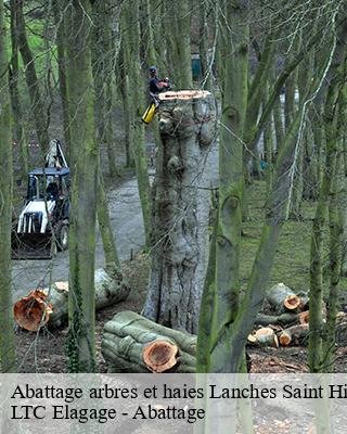 Abattage arbres et haies lanches-saint-hilaire-80620 LTC Elagage - Abattage