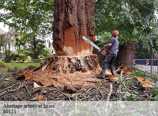 Abattage arbres et haies proyart-80121 LTC Elagage - Abattage