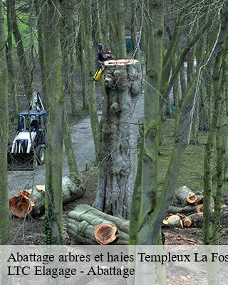 Abattage arbres et haies templeux-la-fosse-80240 LTC Elagage - Abattage